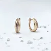 Золоті сережки